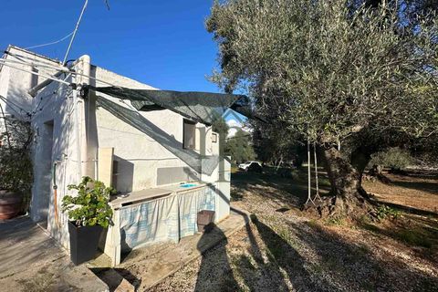 Ruinere i Ostuni, Brindisi, Ostuni - € 79.000 | Ref: Lamia Degli Uli - foto 16